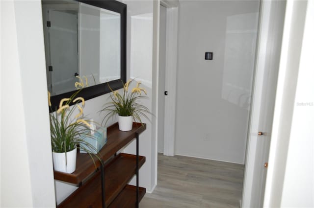 hallway with light wood-style flooring