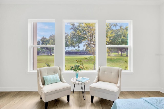 sitting room featuring plenty of natural light and wood finished floors
