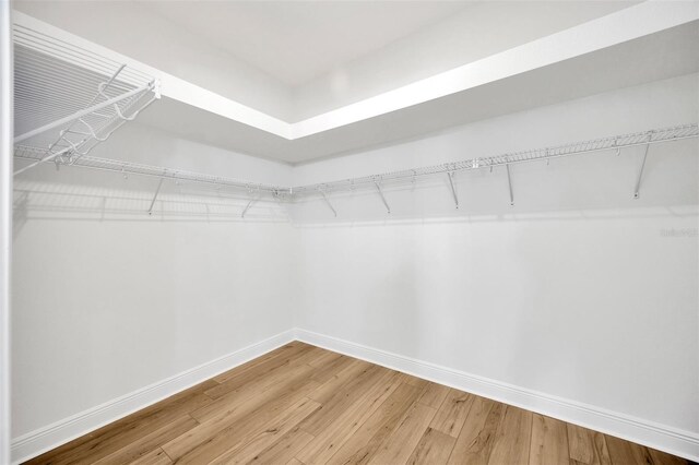 walk in closet featuring hardwood / wood-style floors