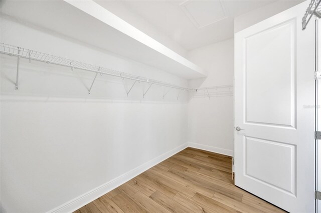 spacious closet featuring light wood-style flooring and attic access
