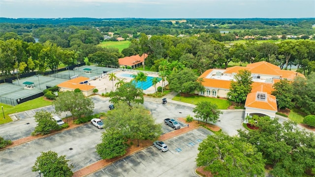 drone / aerial view