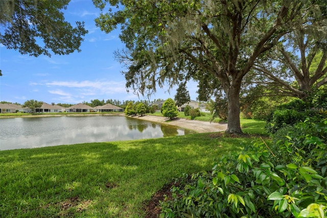 19232 Barred Owl Ct, Land O Lakes, FL 34638 - water view with nearby suburban area