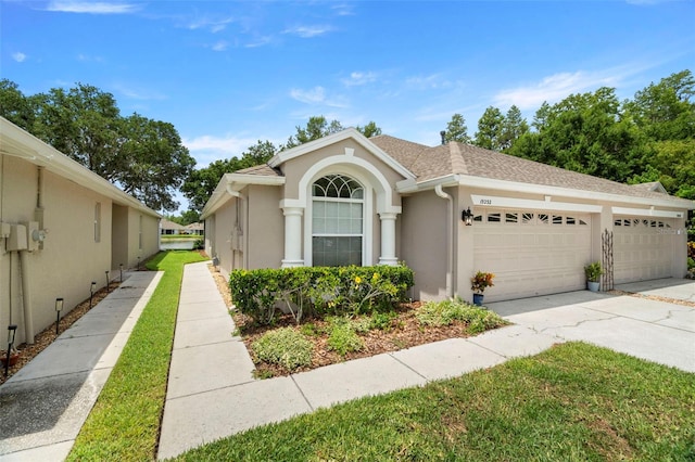 19232 Barred Owl Ct, Land O Lakes, FL 34638 - view of front of property featuring concrete driveway, an attached garage, stucco siding, and roof with shingles
