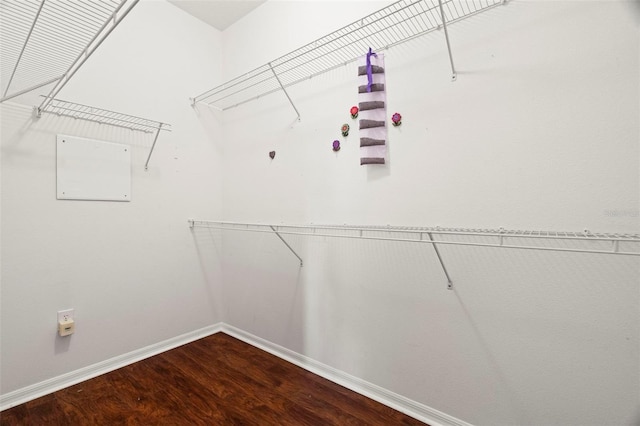 19232 Barred Owl Ct, Land O Lakes, FL 34638 - spacious closet featuring wood finished floors