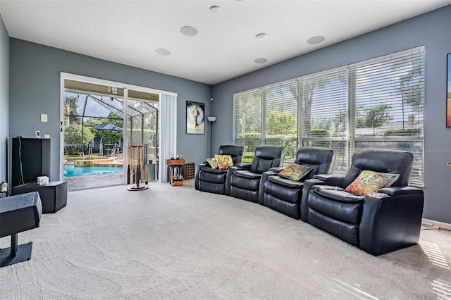 view of carpeted home theater room