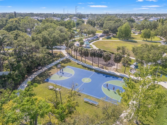 drone / aerial view