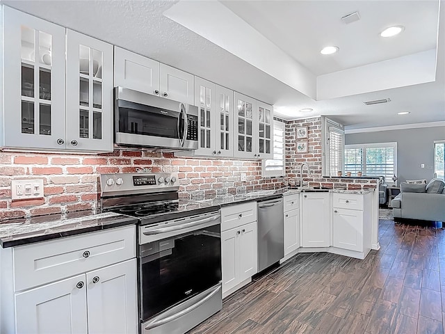3611 Pine Knot Dr, Valrico, FL 33596 - kitchen featuring a peninsula, stainless steel appliances, white cabinets, dark wood-style floors, and open floor plan