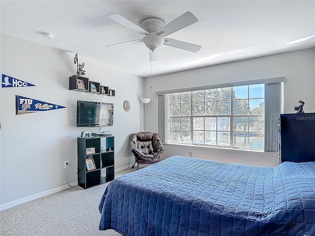 3611 Pine Knot Dr, Valrico, FL 33596 - bedroom with baseboards, a ceiling fan, and carpet floors