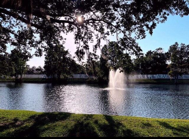 3611 Pine Knot Dr, Valrico, FL 33596 - view of water feature