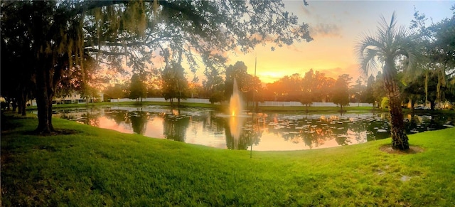 3611 Pine Knot Dr, Valrico, FL 33596 - view of community featuring a yard and a water view