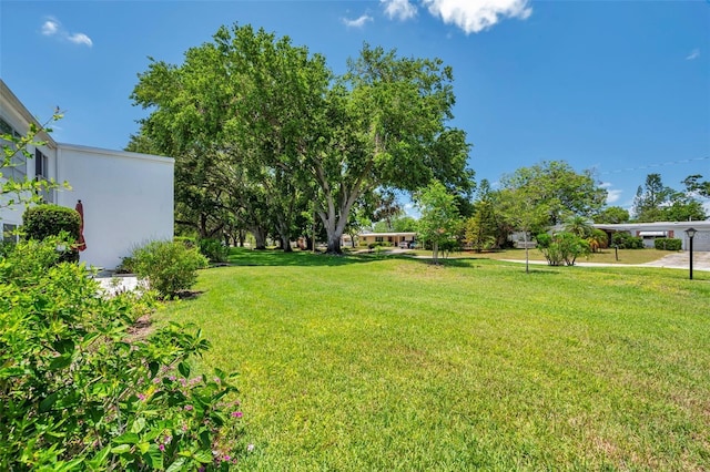 1655 S Highland Ave Unit D140, Clearwater, FL 33756 - view of green lawn