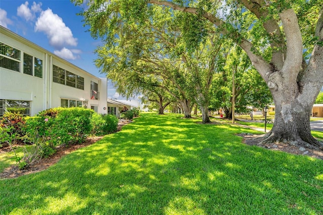 1655 S Highland Ave Unit D140, Clearwater, FL 33756 - view of grassy yard