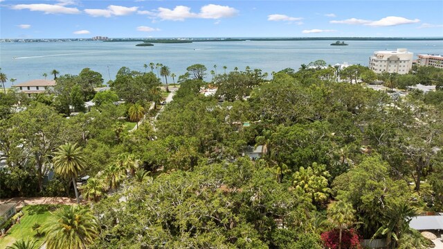 250 Aberdeen St, Dunedin, FL 34698 - photo 83