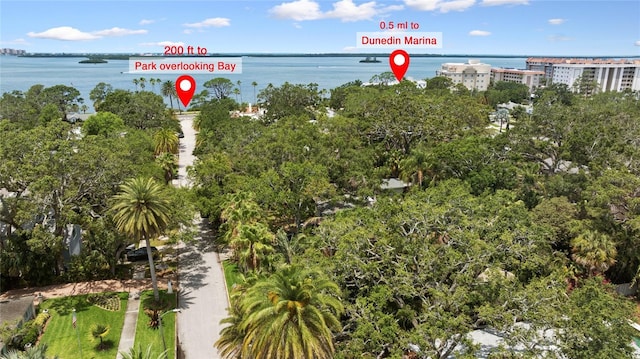 250 Aberdeen St, Dunedin, FL 34698 - photo 59