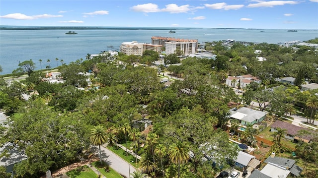 250 Aberdeen St, Dunedin, FL 34698 - photo 84