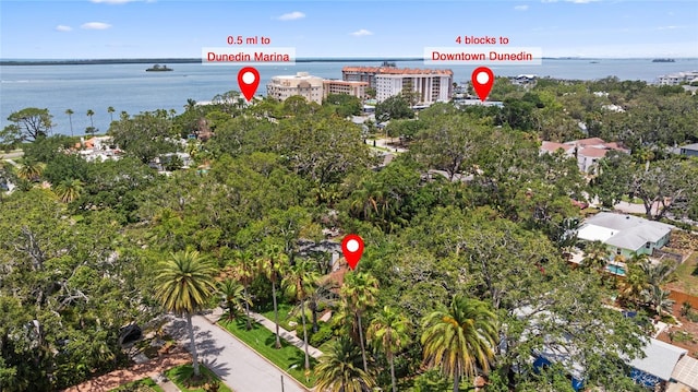 250 Aberdeen St, Dunedin, FL 34698 - photo 58