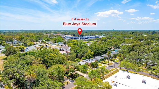 250 Aberdeen St, Dunedin, FL 34698 - photo 60