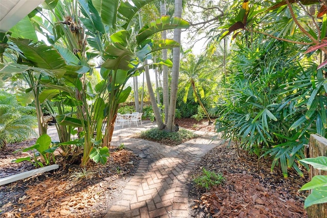 250 Aberdeen St, Dunedin, FL 34698 - photo 47