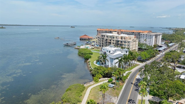 250 Aberdeen St, Dunedin, FL 34698 - photo 61