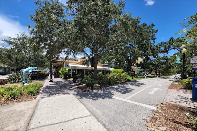 250 Aberdeen St, Dunedin, FL 34698 - photo 75