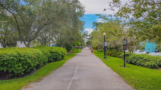 250 Aberdeen St, Dunedin, FL 34698 - photo 76