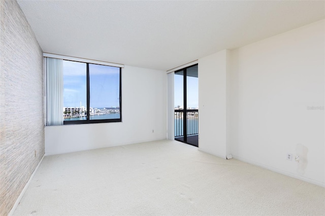 carpeted empty room with a water view
