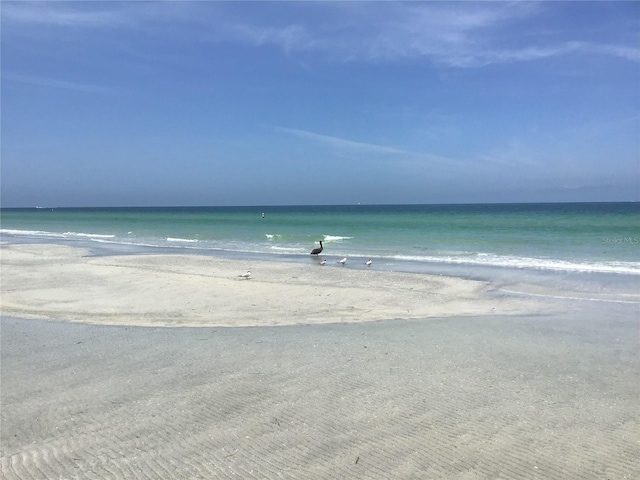 1430 Gulf Blvd Unit 102, Clearwater Beach, FL 33767 - property view of water