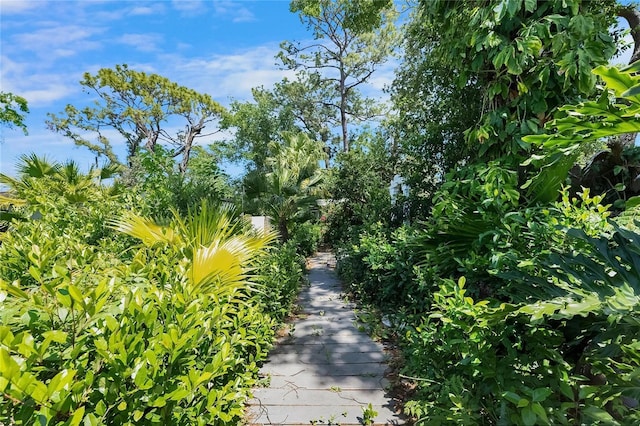 12116 N 52nd St, Temple Terrace, FL 33617 - photo 52