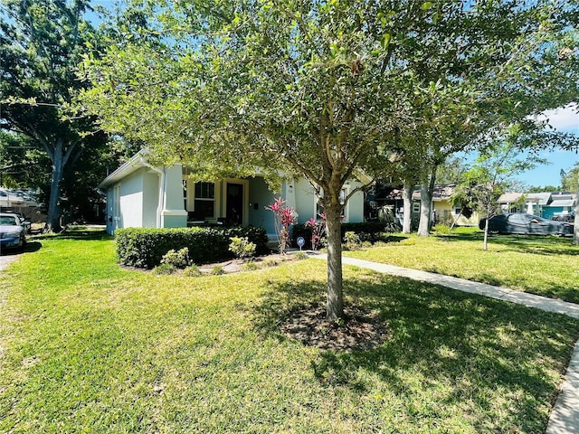 view of property hidden behind natural elements with a front lawn and stucco siding