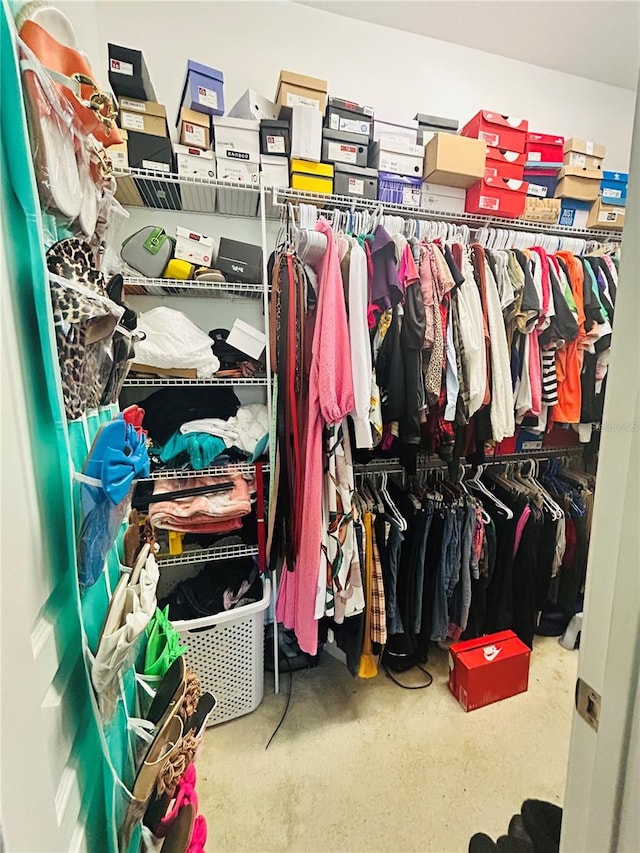 view of spacious closet