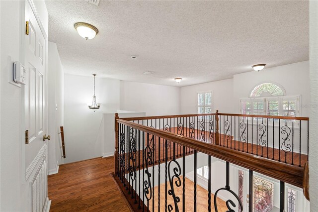 13420 Copper Head Dr, Riverview, FL 33569 - photo 25