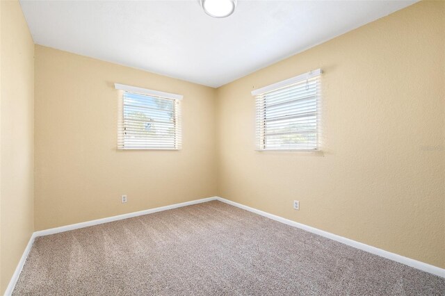 4732 W Wyoming Ave, Tampa, FL 33616 - photo 38