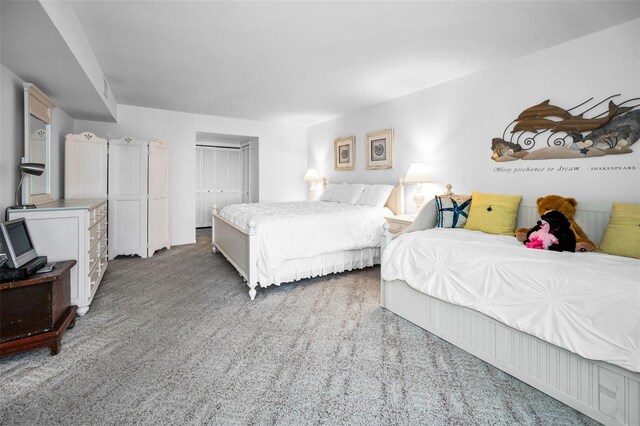 5108 Brittany Dr S Unit 607, Saint Petersburg, FL 33715 - carpeted bedroom with a closet