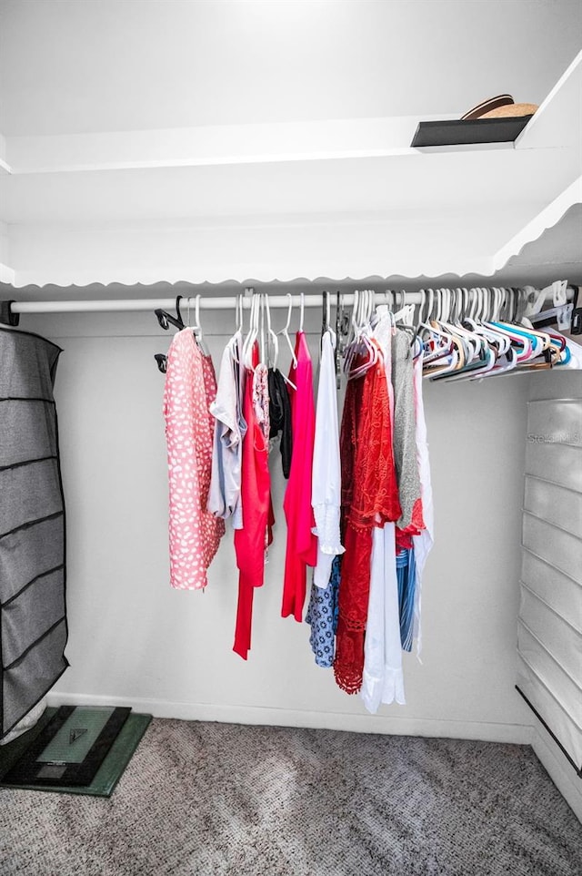 5108 Brittany Dr S Unit 607, Saint Petersburg, FL 33715 - walk in closet featuring carpet flooring