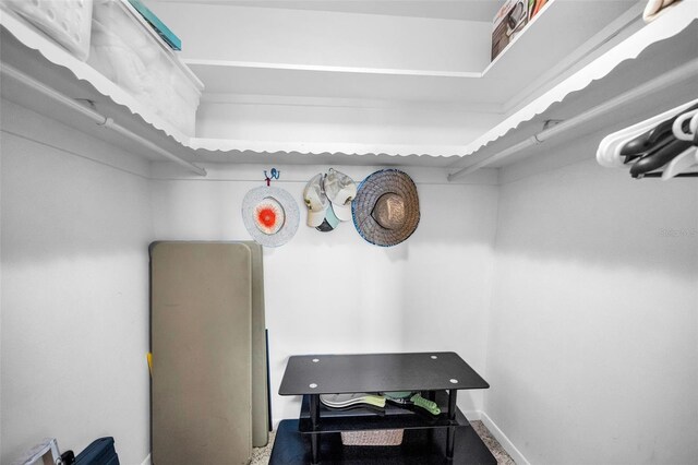 5108 Brittany Dr S Unit 607, Saint Petersburg, FL 33715 - view of spacious closet