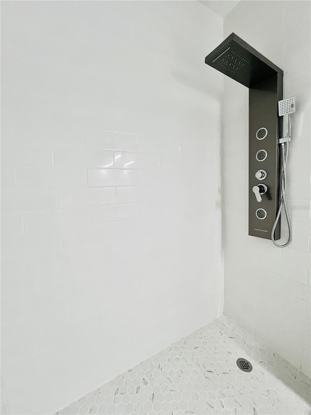 1002 E N Bay St, Tampa, FL 33603 - bathroom view of tiled shower