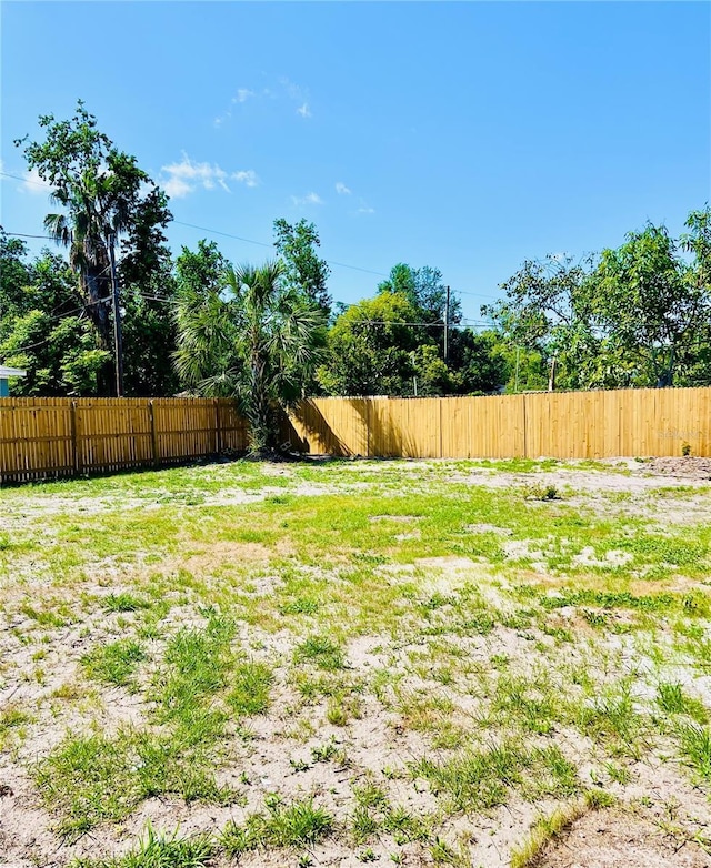 1002 E N Bay St, Tampa, FL 33603 - view of yard
