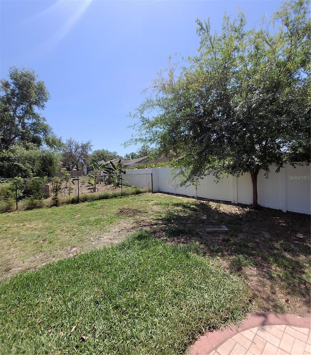 824 Greenbelt Cir, Brandon, FL 33510 - view of fenced backyard