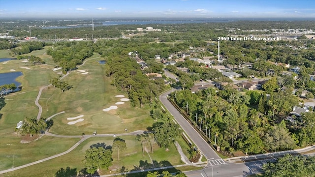 2969 Talon Dr, Clearwater, FL 33761 - photo 77