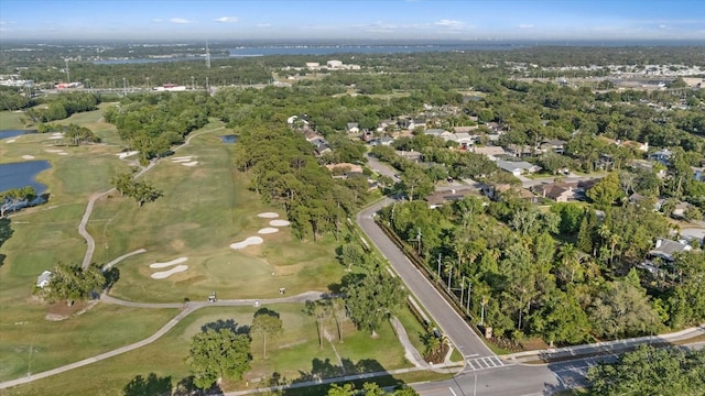 2969 Talon Dr, Clearwater, FL 33761 - photo 78