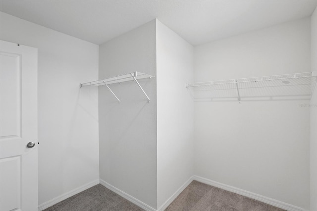 7530 Broad Pointe Dr, Zephyrhills, FL 33540 - spacious closet with carpet flooring