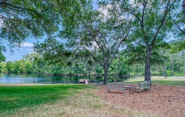 898 Cypress Lakeview Ct, Tarpon Springs, FL 34688 - view of grassy yard featuring a water view