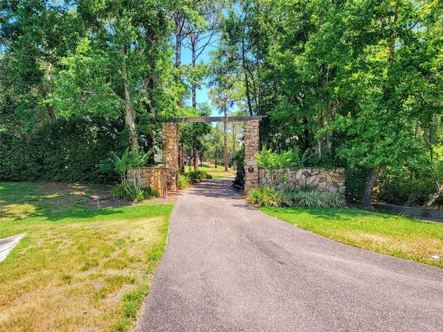 898 Cypress Lakeview Ct, Tarpon Springs, FL 34688 - view of asphalt driveway