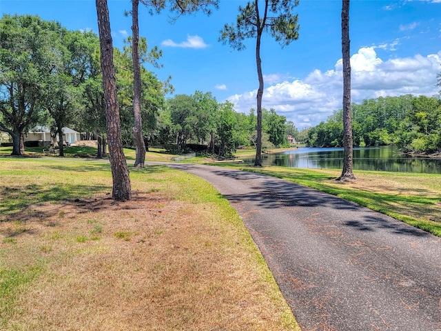 898 Cypress Lakeview Ct, Tarpon Springs, FL 34688 - view of street featuring a water view