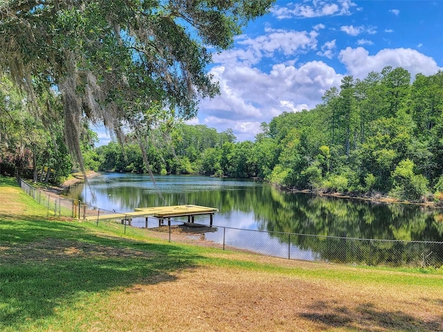 898 Cypress Lakeview Ct, Tarpon Springs, FL 34688 - dock area with a water view and a forest view