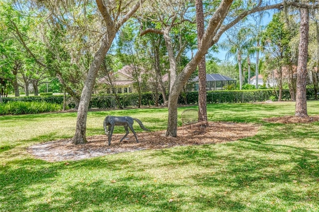 898 Cypress Lakeview Ct, Tarpon Springs, FL 34688 - view of grassy yard