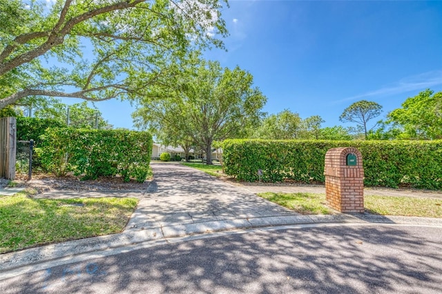 898 Cypress Lakeview Ct, Tarpon Springs, FL 34688 - view of concrete surface