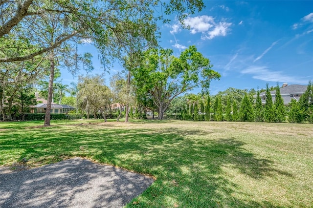 898 Cypress Lakeview Ct, Tarpon Springs, FL 34688 - view of green lawn