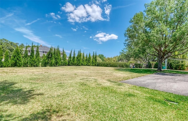 898 Cypress Lakeview Ct, Tarpon Springs, FL 34688 - view of grassy yard