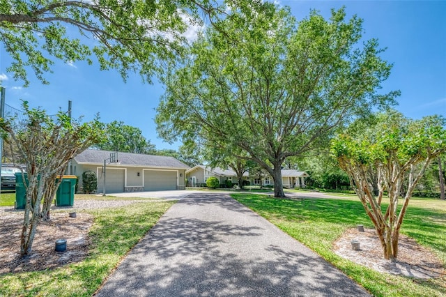 898 Cypress Lakeview Ct, Tarpon Springs, FL 34688 - single story home with a garage, a front yard, asphalt driveway, and stucco siding